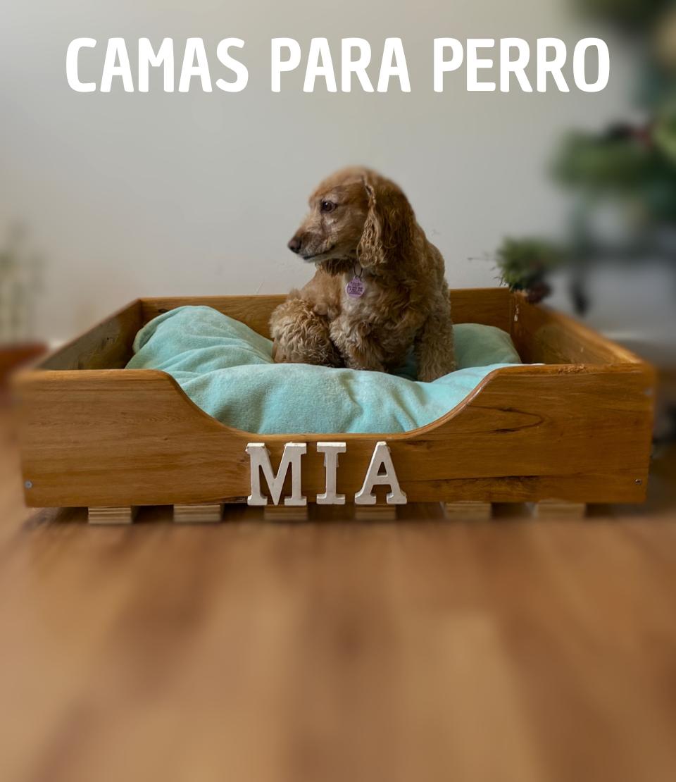 Camas para Perro 🐶