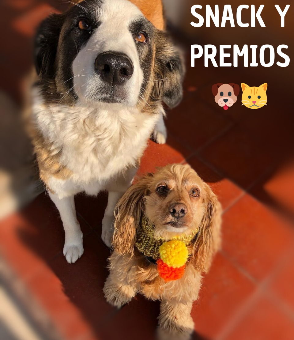Snack y Premios 🐶🐱