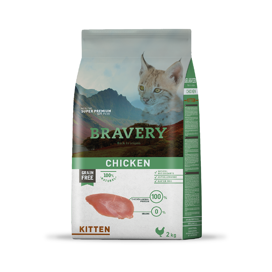 Bravery Chicken Kitten (Gatitos) 2K