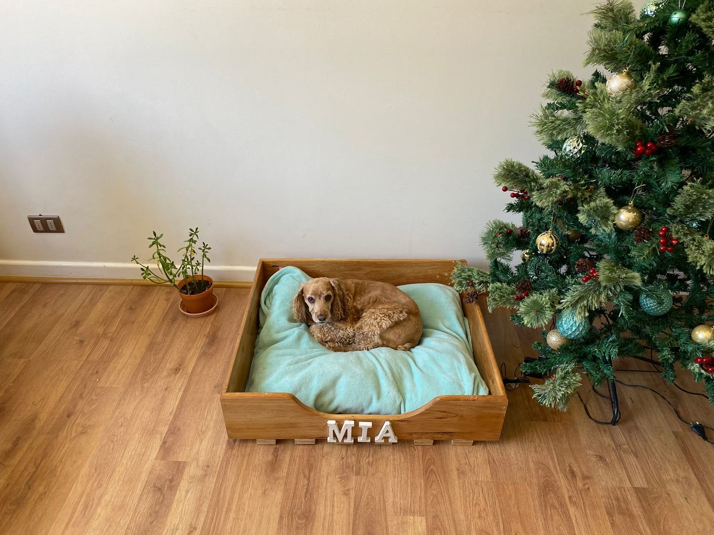 Cama de Mascota Personalizada