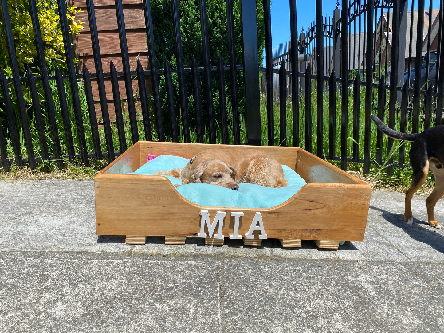 Cama de Mascota Personalizada