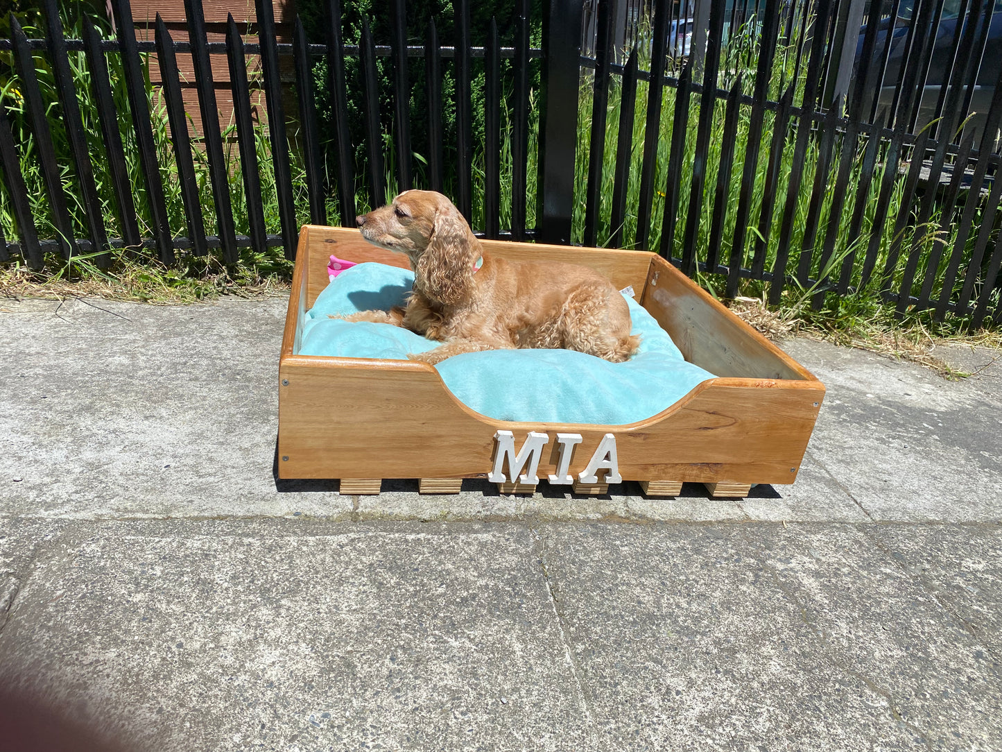 Cama de Mascota Personalizada