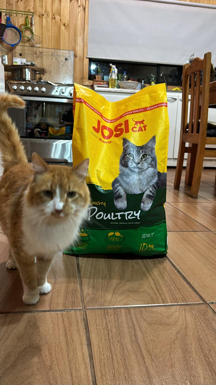 Cómo Elegir el Mejor Alimento para tu Mascota