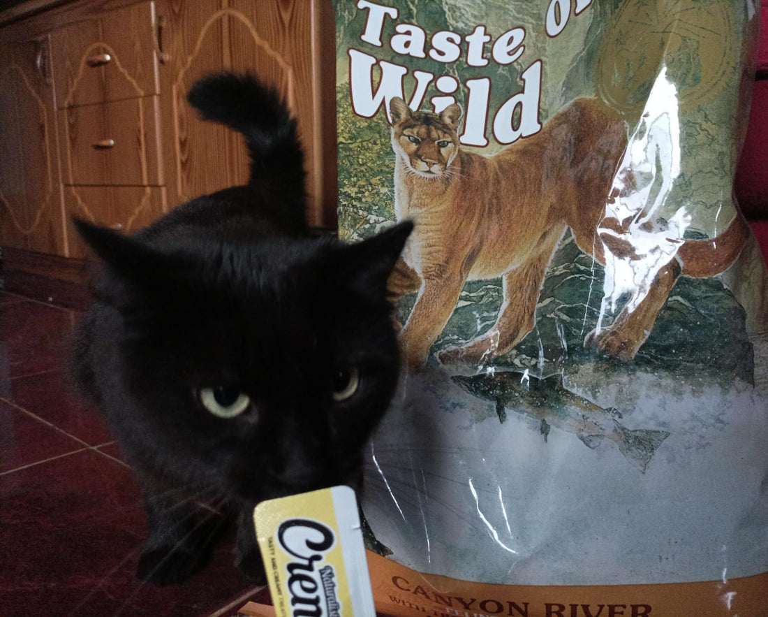 Desmitificando la Alimentación de Mascotas: Separando el Hecho de la Ficción