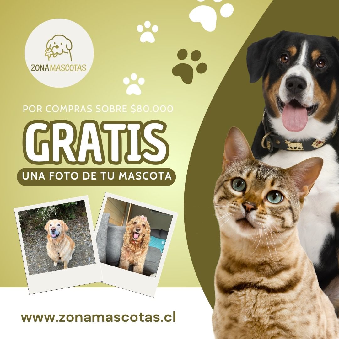 Foto con iman (Personalizada) - Zona Mascotas